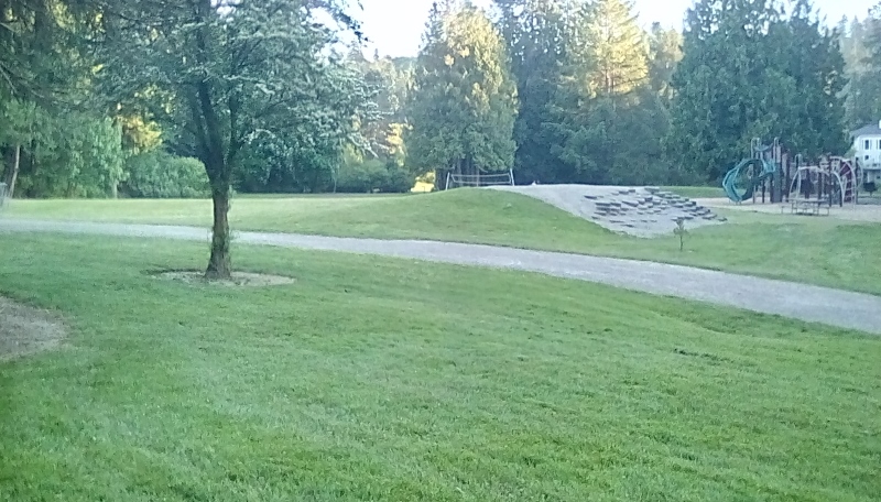 IMG_20170525_201214_hdr (800x456)