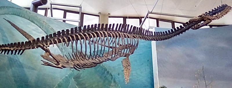 IMG_20170531_121632_hdr (800x304)