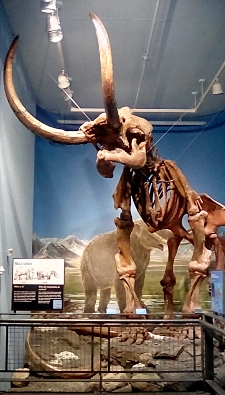 IMG_20170531_122341_hdr (456x800)