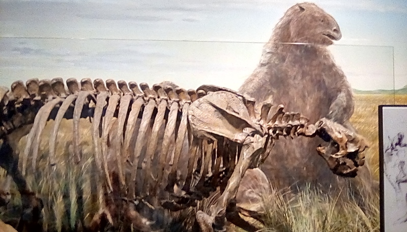 IMG_20170531_122457_hdr (800x456)