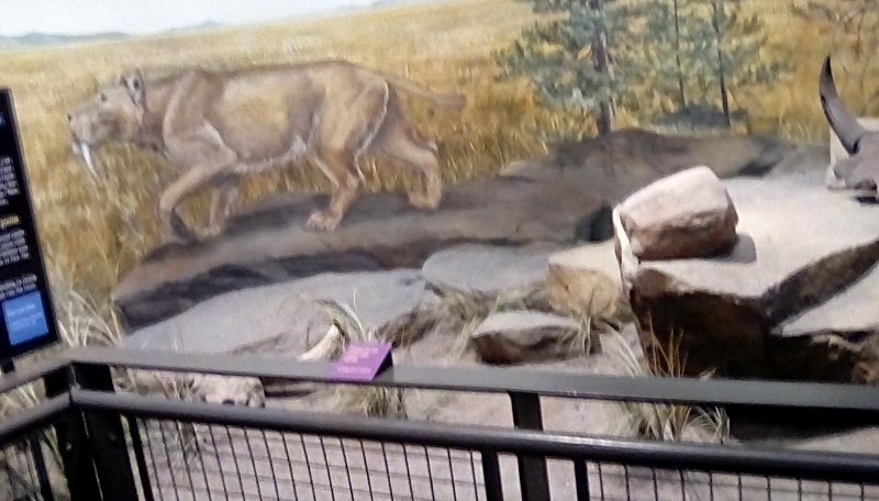 IMG_20170531_122614_hdr (800x456)