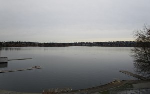 IMG_0166_(800x500)[1]