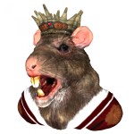 king-rat