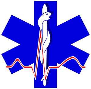 11949848291603956253paramedic_cross_01.svg.med