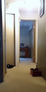 20200506_155321 (403x800)