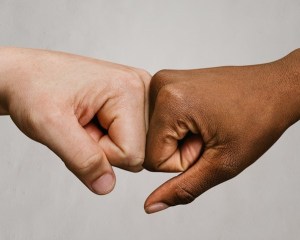 366-mj-8222-fon-01-l_2